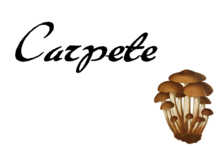 Carpete: A Naive Brush Font for Creative Projects