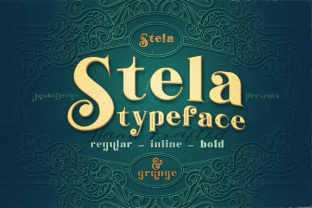 Stela Family: A Vintage Grunge Style Display Font for Creative Expression