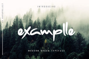 The Horizontal: A Versatile and Stylish Script Font for Creative Projects